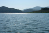 IMG_5178.JPG