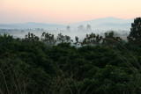 IMG_5223.JPG