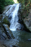IMG_5531.JPG