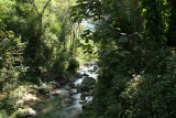 IMG_5536.JPG