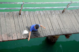 Indonesia 1 5 2012 372 Boy Fishing Sumbawa