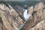 Yellowstone Rivers Lower Falls