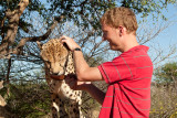 I'm Scratching a Cheetah's Ears!!