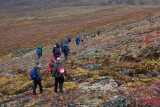 Hiking the Tundra