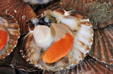 Coquilles Saint-Jacques.JPG