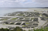 Cancale-Oysters 02.JPG