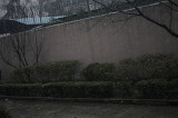 DSC_2635.jpg