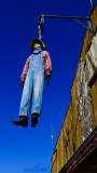 The hanging, Tortilla Flat, Arizona, 2011