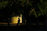 Last light, Scottsdale Civic Center, Scottsdale, Arizona, 2011