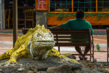 Town Square, Puerto Ayora, Santa Cruz Island, The Galapagos, Ecuador, 2012