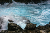 Waters edge: South Plaza Island, The Galapagos, Ecuador, 2012