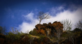 The ghost of Punta Carrion, Isabela Island, The Galapagos, Ecuador, 2012