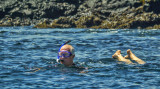 Snorkeling, Elizabeth Bay, Isabela Island, The Galapagos, Ecuador, 2012