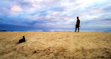 Man and Sea Lion, Mosquera Island, The Galapago, Ecuador, 2012