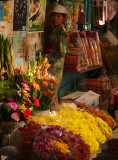 Florist, Chau Doc, Vietnam, 2008