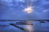 DSC_4414-17.jpg