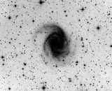 NGC2997 LRGB 120 40 40 50