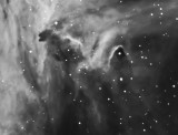 The Kangaroo Nebula