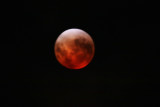 Lunar Eclipse 11 Dec 2011 totailty.jpg