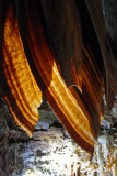 Wing type formation Orient Cave