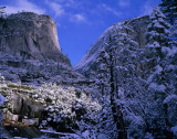 YosemiteM7-NoonNevadaFalls1-14x11360.jpg