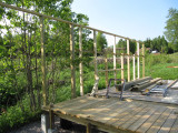 IMG_5259.JPG