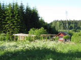 IMG_5318.JPG