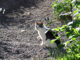 IMG_5282.JPG