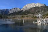 Yamnuska Beaver Ponds