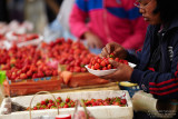 Strawberry Vendors 1_MG_9776Argb-web.jpg