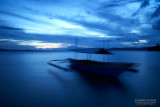 Blurred in Blue L1015035-FulRes.jpg