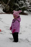 IMG_6497.jpg