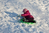 IMG_7146.jpg