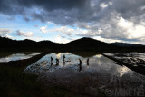 Paddy Planters in Bario
