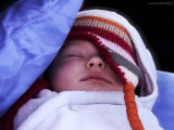 <td><blockquote>27-01-2012:<br>The dreaming little pirate</blockquote></td>