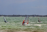 The windsurfers  started reaching the shore...