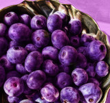 Purple berries