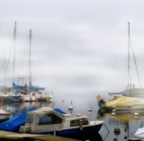 Fog is a cold blanket for sleepy boats...