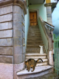 An old staircase in the village...