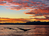 Wild sunrise...