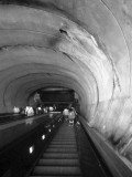 Descent