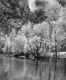 Along The Merced River