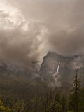 A Foggy Day