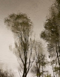 River Reversal