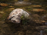  Rocky River
