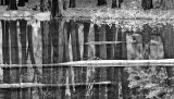 Reflection in Monochrome
