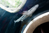 dallas world aquarium and zoological garden