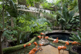 dallas world aquarium and zoological garden