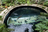 dallas world aquarium and zoological garden