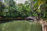 el yunque rain forest, puerto rico